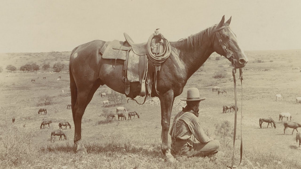 L’aventure des cowboys en Amérique!